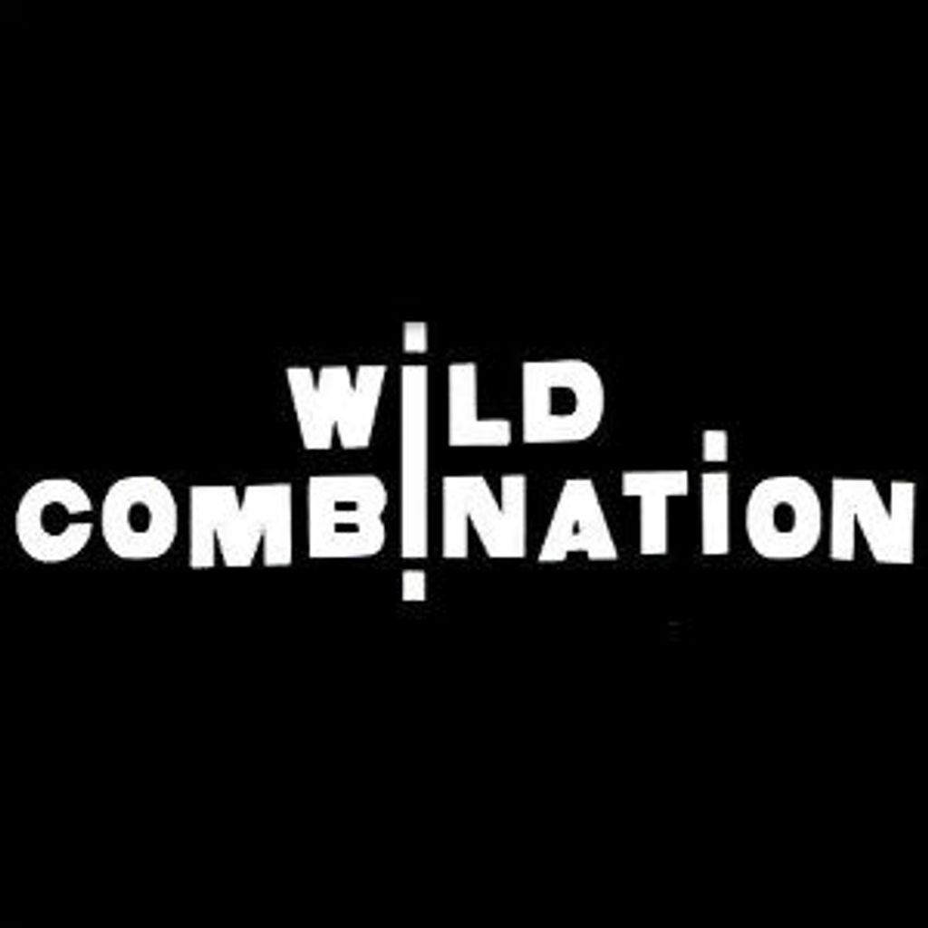 Wild Combinbation No. 02 Feat. Holger Czukay, Apiento, Ahmed Fakroun and More